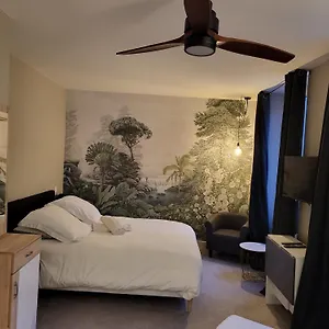  Appartement Ainay/centre Lyon/un Cocon !